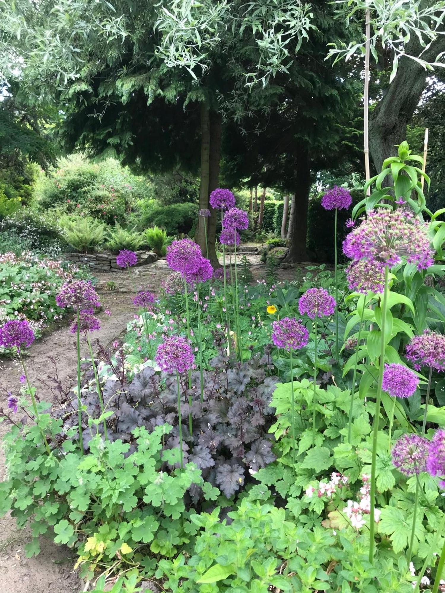 Phlomis Villa York Exterior photo